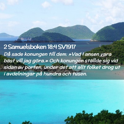 Picture 02 - 2 Samuelsboken 18:4 SV1917 - Då sade konungen till dem: »Vad I ansen vara - Bible Verse Picture