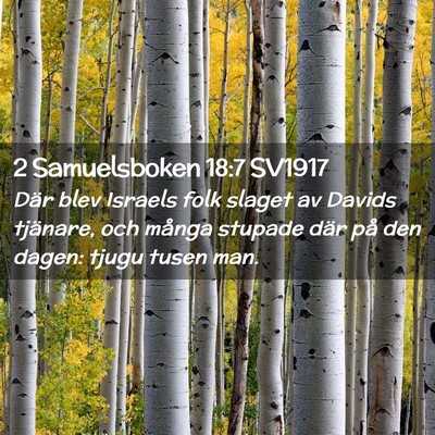 Picture 02 - 2 Samuelsboken 18:7 SV1917 - Där blev Israels folk slaget av Davids tjänare, - Bible Verse Picture
