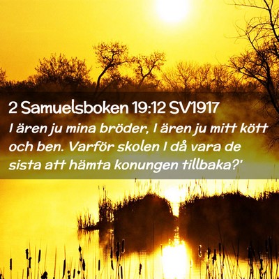 Picture 02 - 2 Samuelsboken 19:12 SV1917 - I ären ju mina bröder, I ären ju mitt kött - Bible Verse Picture