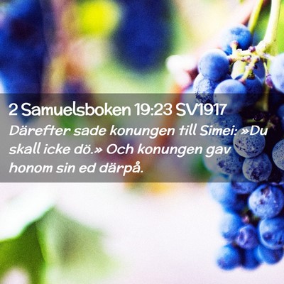 Picture 02 - 2 Samuelsboken 19:23 SV1917 - Därefter sade konungen till Simei: »Du skall - Bible Verse Picture