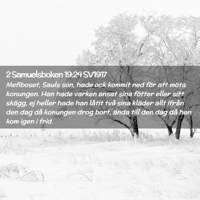 Picture 02 - 2 Samuelsboken 19:24 SV1917 - Mefiboset, Sauls son, hade ock kommit ned för - Bible Verse Picture