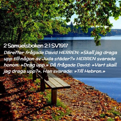 Picture 02 - 2 Samuelsboken 2:1 SV1917 - Därefter frågade David HERREN: »Skall jag - Bible Verse Picture