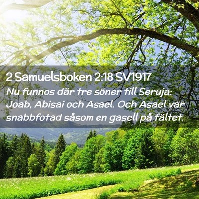 Picture 02 - 2 Samuelsboken 2:18 SV1917 - Nu funnos där tre söner till Seruja: Joab, - Bible Verse Picture