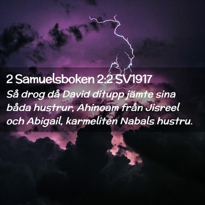 Picture 02 - 2 Samuelsboken 2:2 SV1917 - Så drog då David ditupp jämte sina båda - Bible Verse Picture