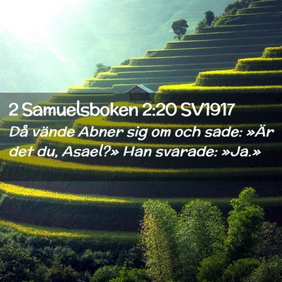 Picture 02 - 2 Samuelsboken 2:20 SV1917 - Då vände Abner sig om och sade: »Är det du, - Bible Verse Picture