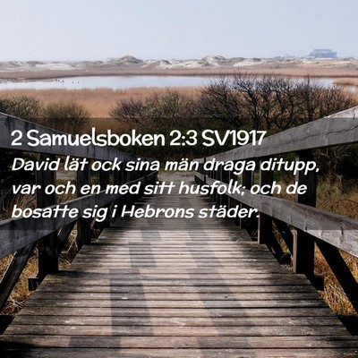 Picture 02 - 2 Samuelsboken 2:3 SV1917 - David lät ock sina män draga ditupp, var och en - Bible Verse Picture
