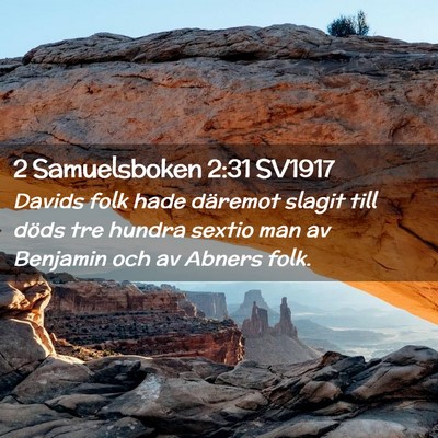 Picture 02 - 2 Samuelsboken 2:31 SV1917 - Davids folk hade däremot slagit till döds tre - Bible Verse Picture
