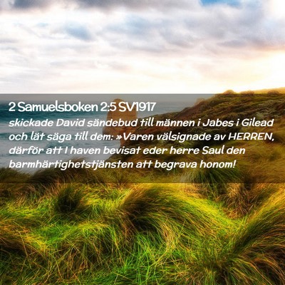Picture 02 - 2 Samuelsboken 2:5 SV1917 - skickade David sändebud till männen i Jabes i - Bible Verse Picture