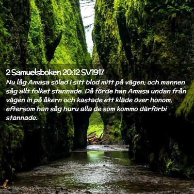 Picture 02 - 2 Samuelsboken 20:12 SV1917 - Nu låg Amasa sölad i sitt blod mitt på vägen; - Bible Verse Picture