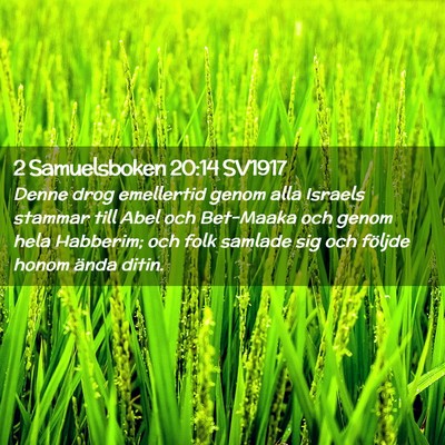 Picture 02 - 2 Samuelsboken 20:14 SV1917 - Denne drog emellertid genom alla Israels stammar - Bible Verse Picture