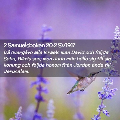 Picture 02 - 2 Samuelsboken 20:2 SV1917 - Då övergåvo alla Israels män David och - Bible Verse Picture