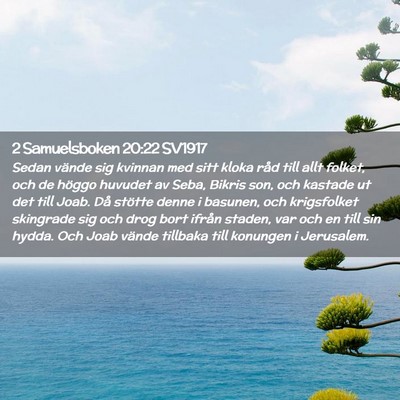 Picture 02 - 2 Samuelsboken 20:22 SV1917 - Sedan vände sig kvinnan med sitt kloka råd till - Bible Verse Picture