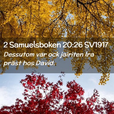 Picture 02 - 2 Samuelsboken 20:26 SV1917 - Dessutom var ock jairiten Ira präst hos - Bible Verse Picture