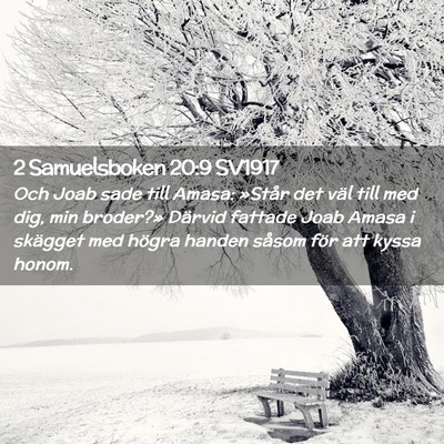 Picture 02 - 2 Samuelsboken 20:9 SV1917 - Och Joab sade till Amasa: »Står det väl till - Bible Verse Picture