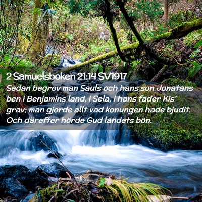 Picture 02 - 2 Samuelsboken 21:14 SV1917 - Sedan begrov man Sauls och hans son Jonatans ben - Bible Verse Picture