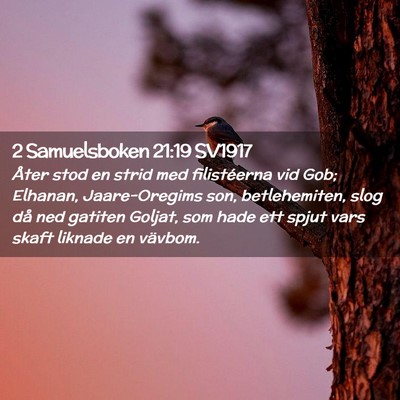 Picture 02 - 2 Samuelsboken 21:19 SV1917 - Åter stod en strid med filistéerna vid Gob; - Bible Verse Picture
