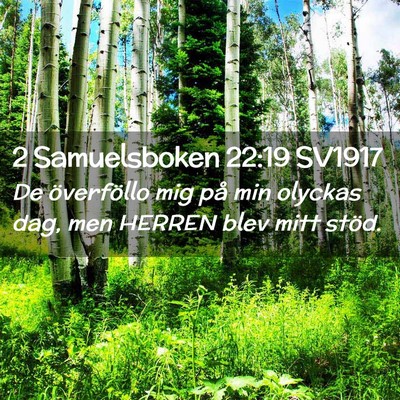 Picture 02 - 2 Samuelsboken 22:19 SV1917 - De överföllo mig på min olyckas dag, men - Bible Verse Picture