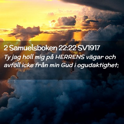 Picture 02 - 2 Samuelsboken 22:22 SV1917 - Ty jag höll mig på HERRENS vägar och avföll - Bible Verse Picture