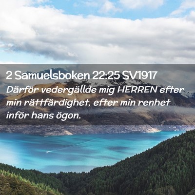 Picture 02 - 2 Samuelsboken 22:25 SV1917 - Därför vedergällde mig HERREN efter min - Bible Verse Picture