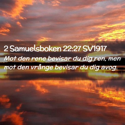 Picture 02 - 2 Samuelsboken 22:27 SV1917 - Mot den rene bevisar du dig ren, men mot den - Bible Verse Picture
