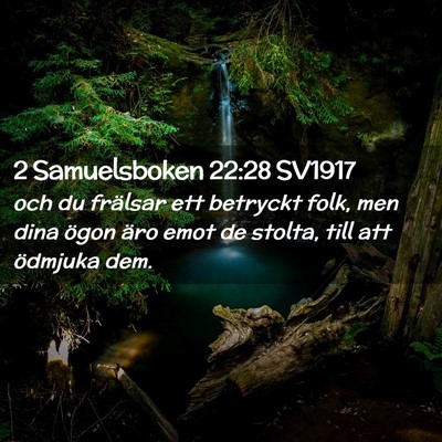 Picture 02 - 2 Samuelsboken 22:28 SV1917 - och du frälsar ett betryckt folk, men dina ögon - Bible Verse Picture