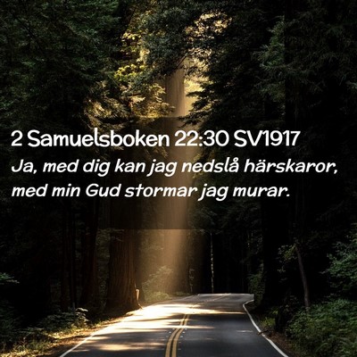 Picture 02 - 2 Samuelsboken 22:30 SV1917 - Ja, med dig kan jag nedslå härskaror, med min - Bible Verse Picture