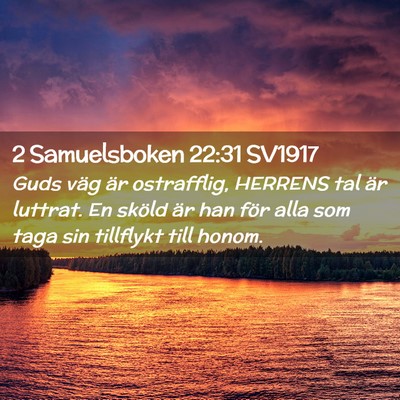 Picture 02 - 2 Samuelsboken 22:31 SV1917 - Guds väg är ostrafflig, HERRENS tal är - Bible Verse Picture