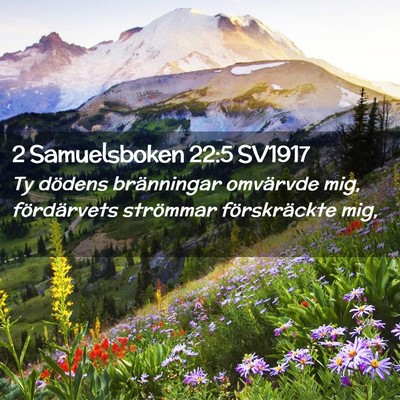 Picture 02 - 2 Samuelsboken 22:5 SV1917 - Ty dödens bränningar omvärvde mig, - Bible Verse Picture