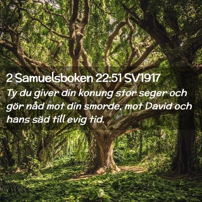 Picture 02 - 2 Samuelsboken 22:51 SV1917 - Ty du giver din konung stor seger och gör nåd - Bible Verse Picture