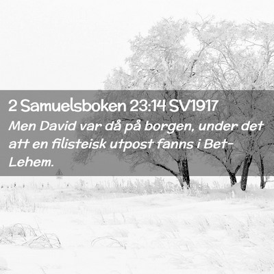 Picture 02 - 2 Samuelsboken 23:14 SV1917 - Men David var då på borgen, under det att en - Bible Verse Picture