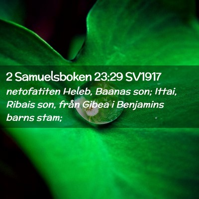 Picture 02 - 2 Samuelsboken 23:29 SV1917 - netofatiten Heleb, Baanas son; Ittai, Ribais son, - Bible Verse Picture