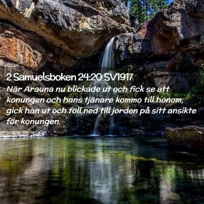 Picture 02 - 2 Samuelsboken 24:20 SV1917 - När Arauna nu blickade ut och fick se att - Bible Verse Picture