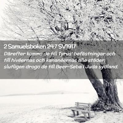 Picture 02 - 2 Samuelsboken 24:7 SV1917 - Därefter kommo de till Tyrus' befästningar och - Bible Verse Picture