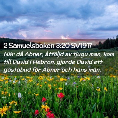 Picture 02 - 2 Samuelsboken 3:20 SV1917 - När då Abner, åtföljd av tjugu man, kom till - Bible Verse Picture