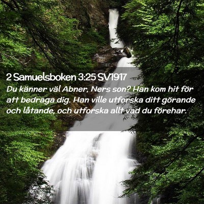 Picture 02 - 2 Samuelsboken 3:25 SV1917 - Du känner väl Abner, Ners son? Han kom hit för - Bible Verse Picture