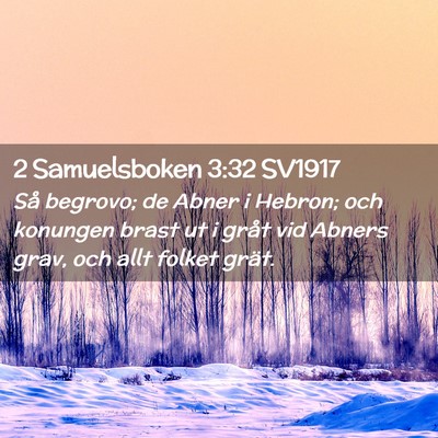 Picture 02 - 2 Samuelsboken 3:32 SV1917 - Så begrovo; de Abner i Hebron; och konungen - Bible Verse Picture