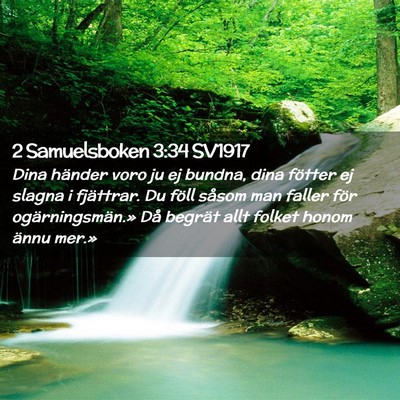 Picture 02 - 2 Samuelsboken 3:34 SV1917 - Dina händer voro ju ej bundna, dina fötter ej - Bible Verse Picture