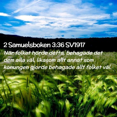 Picture 02 - 2 Samuelsboken 3:36 SV1917 - När folket hörde detta, behagade det dem alla - Bible Verse Picture