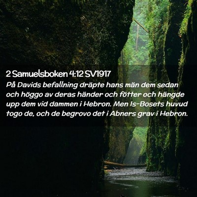 Picture 02 - 2 Samuelsboken 4:12 SV1917 - På Davids befallning dräpte hans män dem sedan - Bible Verse Picture