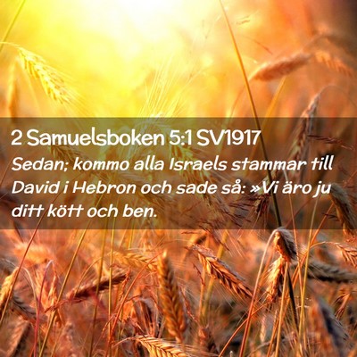 Picture 02 - 2 Samuelsboken 5:1 SV1917 - Sedan; kommo alla Israels stammar till David i - Bible Verse Picture