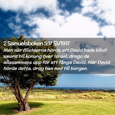 Picture 02 - 2 Samuelsboken 5:17 SV1917 - Men när filistéerna hörde att David hade - Bible Verse Picture