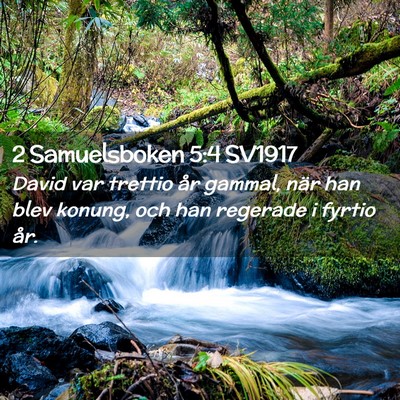 Picture 02 - 2 Samuelsboken 5:4 SV1917 - David var trettio år gammal, när han blev - Bible Verse Picture