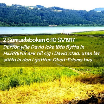 Picture 02 - 2 Samuelsboken 6:10 SV1917 - Därför ville David icke låta flytta in HERRENS - Bible Verse Picture