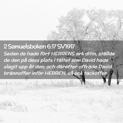 Picture 02 - 2 Samuelsboken 6:17 SV1917 - Sedan de hade fört HERRENS ark ditin, ställde - Bible Verse Picture