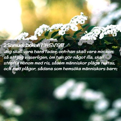 Picture 02 - 2 Samuelsboken 7:14 SV1917 - Jag skall vara hans fader, och han skall vara min - Bible Verse Picture