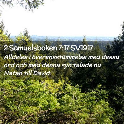 Picture 02 - 2 Samuelsboken 7:17 SV1917 - Alldeles i överensstämmelse med dessa ord och - Bible Verse Picture