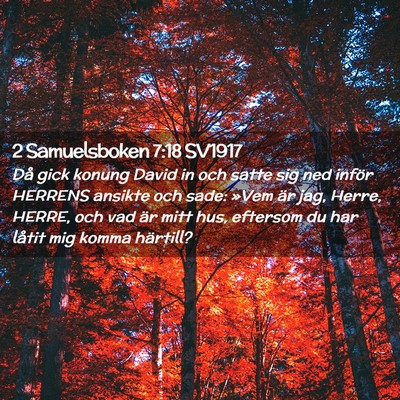 Picture 02 - 2 Samuelsboken 7:18 SV1917 - Då gick konung David in och satte sig ned inför - Bible Verse Picture
