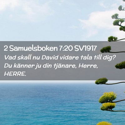 Picture 02 - 2 Samuelsboken 7:20 SV1917 - Vad skall nu David vidare tala till dig? Du - Bible Verse Picture