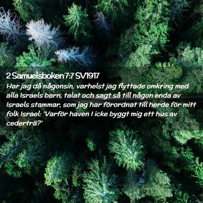 Picture 02 - 2 Samuelsboken 7:7 SV1917 - Har jag då någonsin, varhelst jag flyttade - Bible Verse Picture