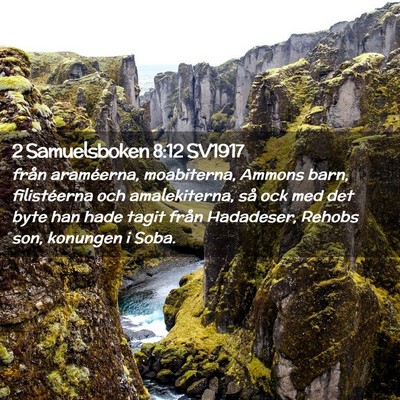 Picture 02 - 2 Samuelsboken 8:12 SV1917 - från araméerna, moabiterna, Ammons barn, - Bible Verse Picture